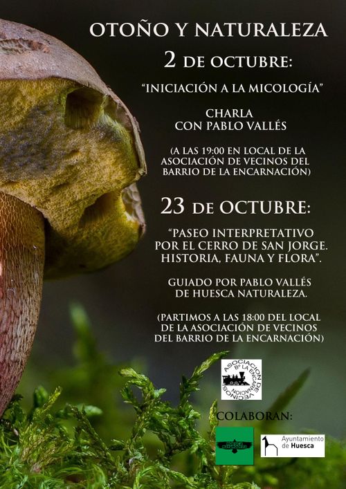 Paseo interpretativo por el Cerro de San Jorge: Fauna, flora e historia